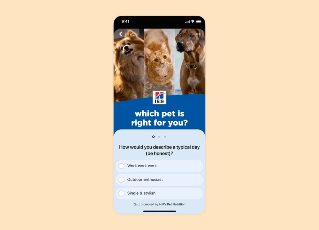 pinterest quiz ad example